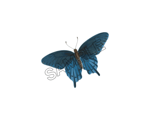 butterfly blue color sample image png