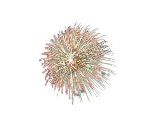 fireworks full spread sample image png