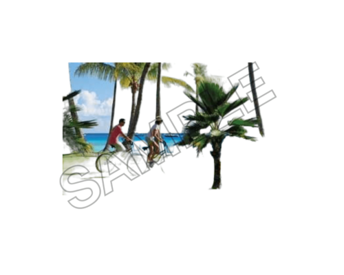 summer, tahiti, sample image png