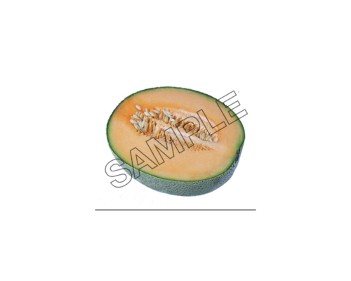 melon half sample image png