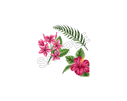 tahiti summer sample image png