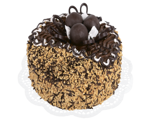 chocolate cake sample image png