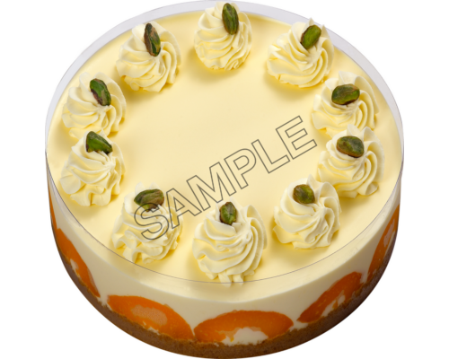 chocolate cake sample image png