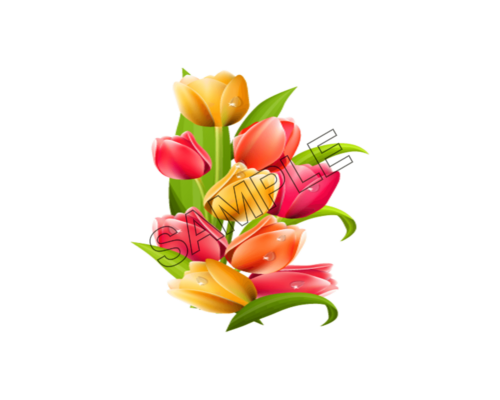 tulip sample image png