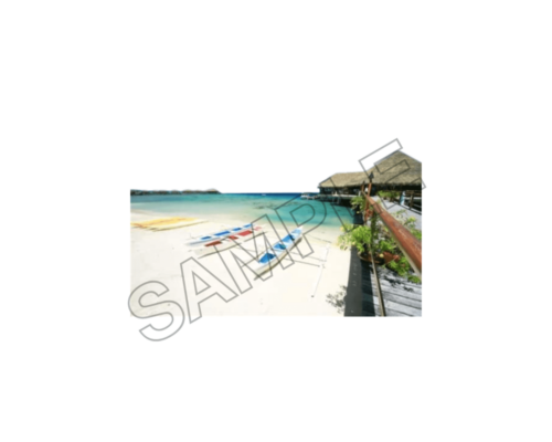 tahiti beach and people and casa sample image png