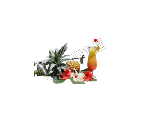 tahiti drink and coctails sample image png