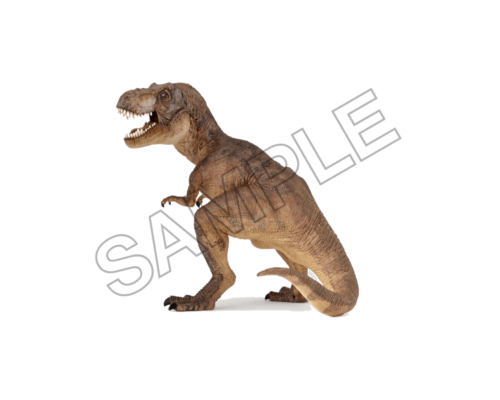 dinosaur sample image png