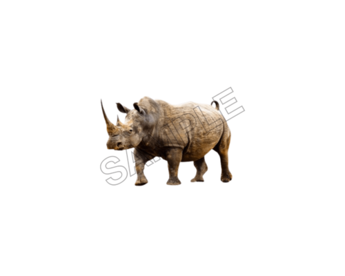 animals sample image png