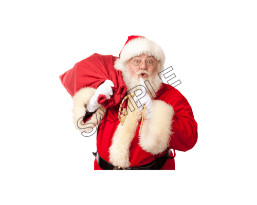 christmas santa sample image png