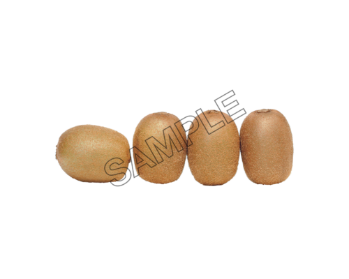 kiwi enjoyable sample image png