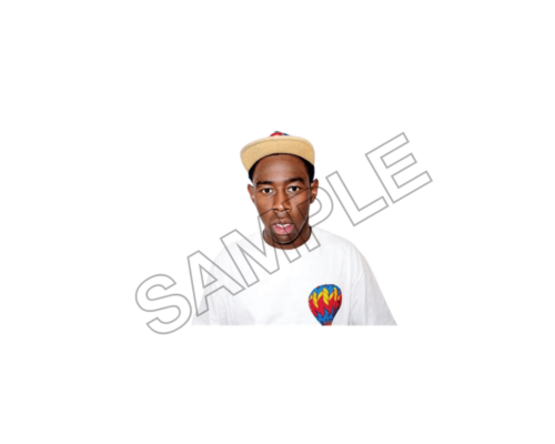 tyler the creator sample image png