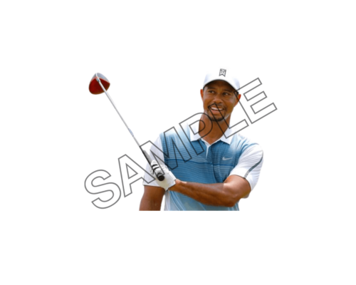 tiger woods sample image png