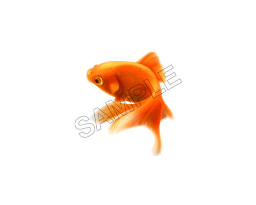 fish sample image png