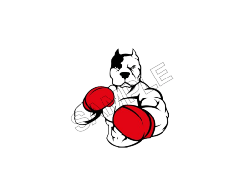 boxing sample image png