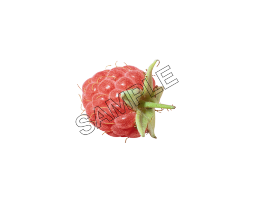 raspberry smooth sample image png