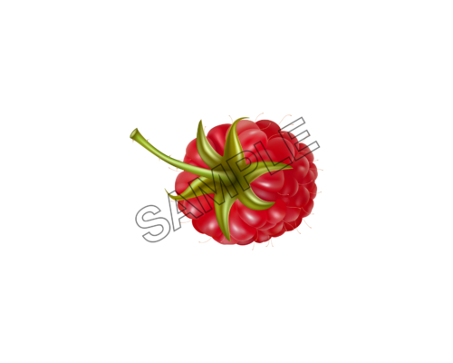 raspberry pleasant sample image png