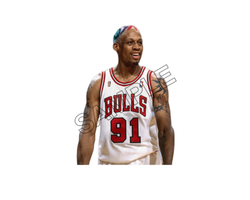 dennis rodman colored hair sample image png