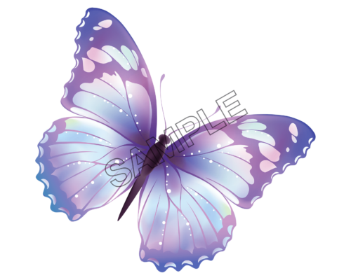 butterfly beautiful sample image png