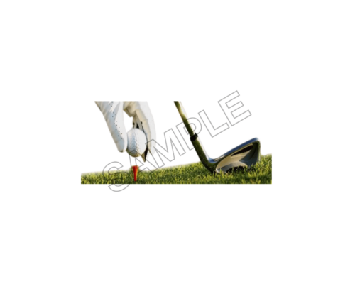 golf ball sample image png