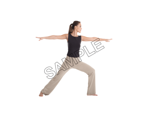 yoga warrior pose sample image png