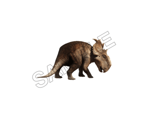 dinosaur sample image png