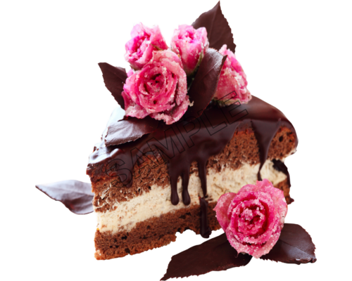 chocolate cake sample image png