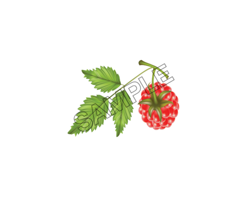 raspberry sample image png