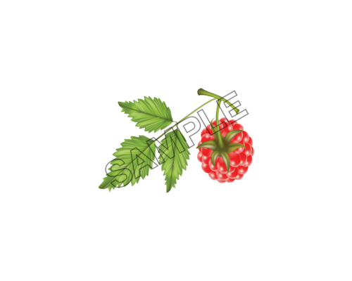 raspberry green sample image png