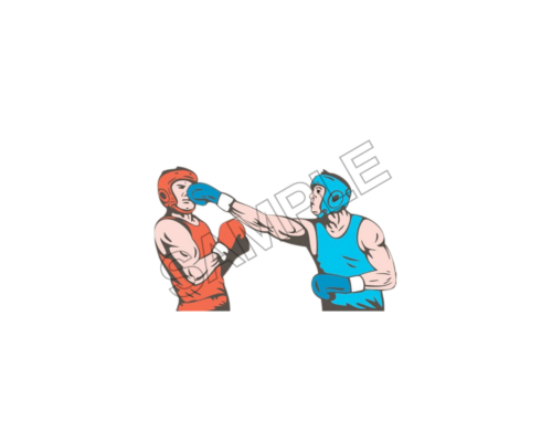 boxing sample image png