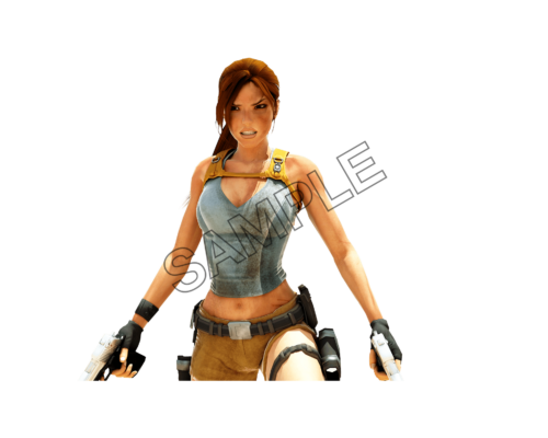 lara croft ready for action sample image png