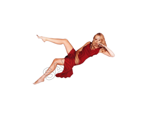 sharon stone sample image png