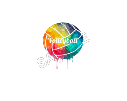 volleyball sample image png