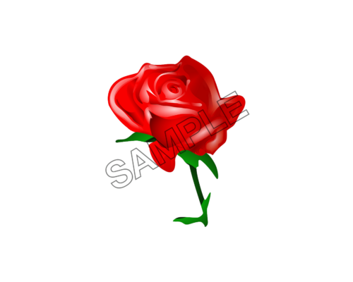 valentines day rose sample image png