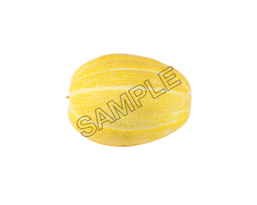 melon mature sample image png