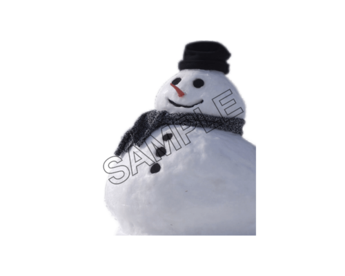 snowman sample image png