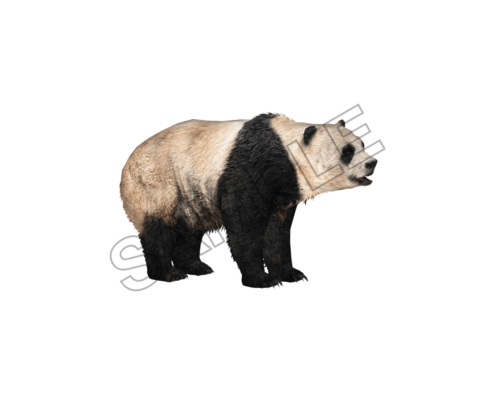 panda sample image png