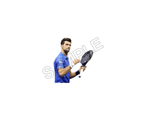 novak djokovic sample image png