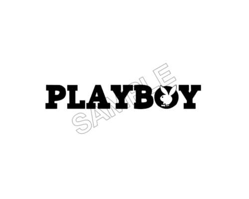 PlayBoy sample image png