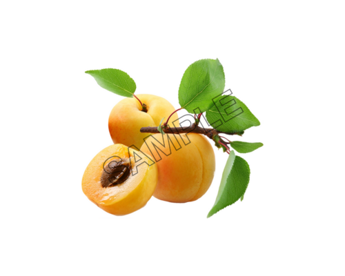 apricot group sample image png