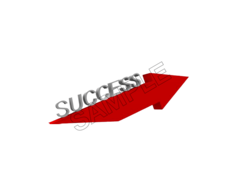 success sample image png