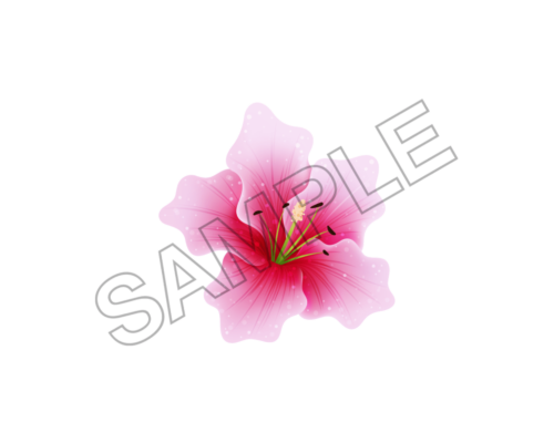 flowers sample image png