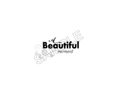 beautiful moments sample image png