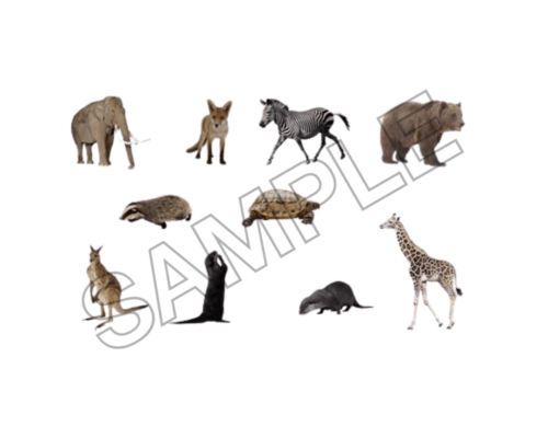 animals sample image png