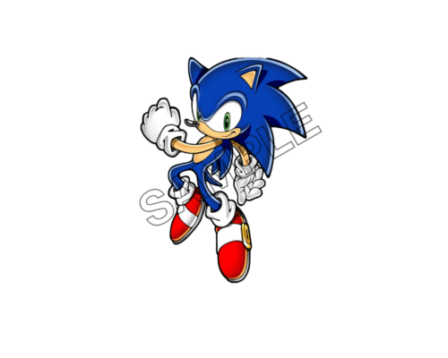 sonic the hedgehog sample image png