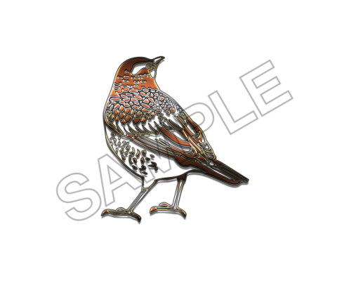 starling bird sample image png