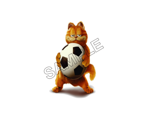 garfield and football sample image png