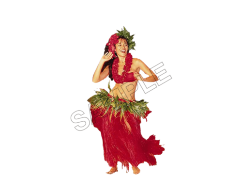 tahiti tradition sample image png