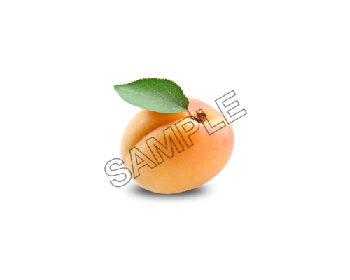 apricot full sample image png