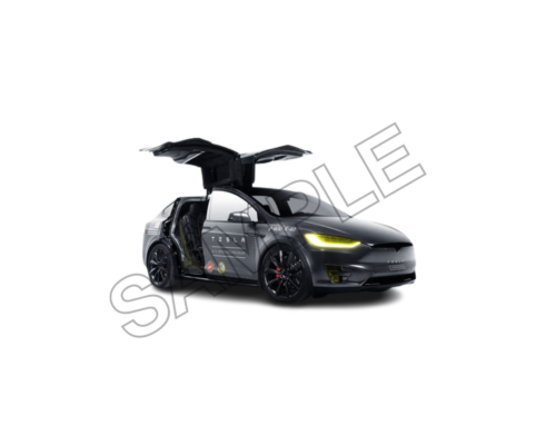 tesla sample image png