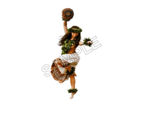 tahiti tradition sample image png